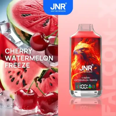 Cherry Watermelon Freeze | Falcon X 18K Puffs Disposable Vape